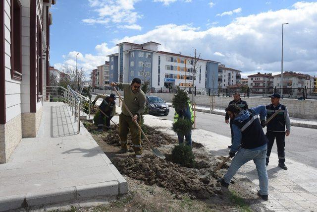 Belediye Başkanı Aşgın, “Yeşil bir Çorum için çalışıyoruz”