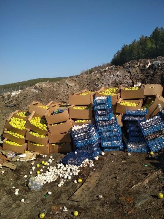 Rusya, Belarus&rsquo;tan &uuml;lkeye giren T&uuml;rkiye menşeili tarım &uuml;r&uuml;nlerini imha etti 1