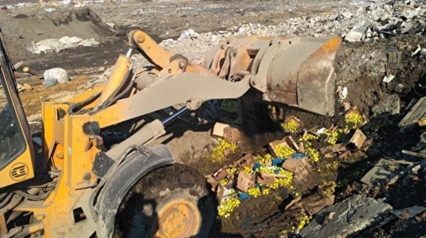 Rusya, Belarus&rsquo;tan &uuml;lkeye giren T&uuml;rkiye menşeili tarım &uuml;r&uuml;nlerini imha etti