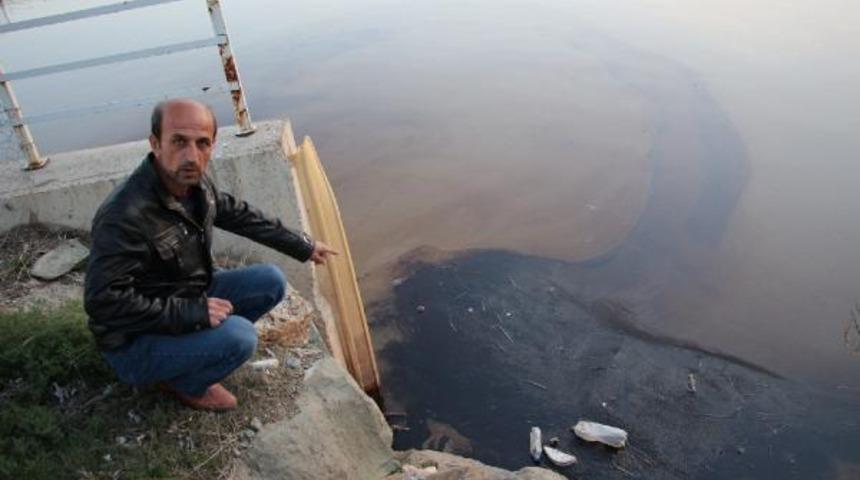 Oltu &Ccedil;ayı'nı g&ouml;renler isyan etti: Bunu yapanlar cezalandırılsın