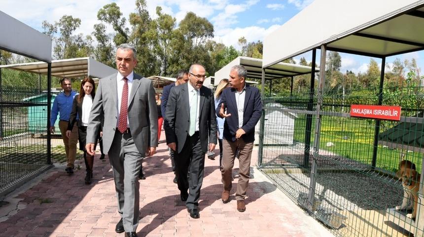 Başkan Esen, Kaymakam K&ouml;ten ile barınağı inceledi