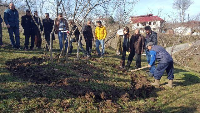 Kabadüz’de fındıkta verim ve kalite eğitimlerle artacak