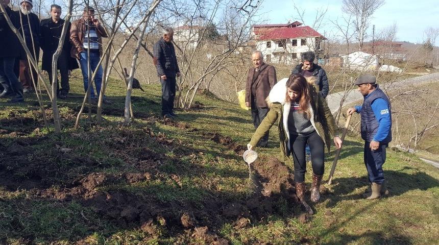 Kabad&uuml;z&rsquo;de fındıkta verim ve kalite eğitimlerle artacak