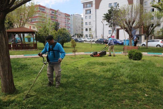 Şanlıurfa’da yaprak biti ile mücadele