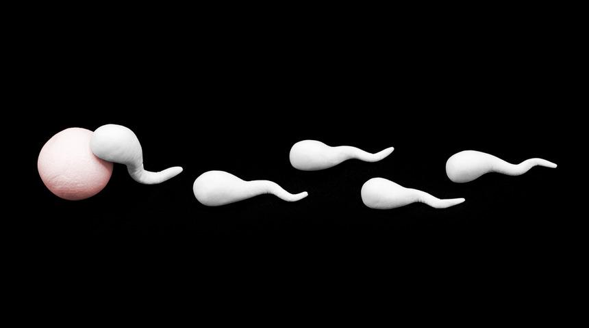 Spermler her geçen yıl kayboluyor! Son 30 yılda yüzde 39 azaldı