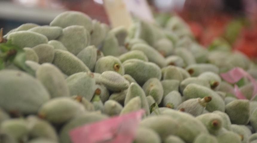 Baharın m&uuml;jdecisi &ccedil;ağla ucuzladı