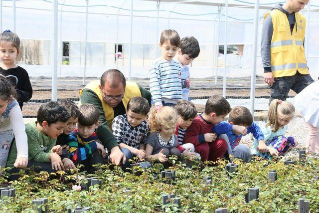 Çocuklardan büyükşehir fidanlığına ziyaret