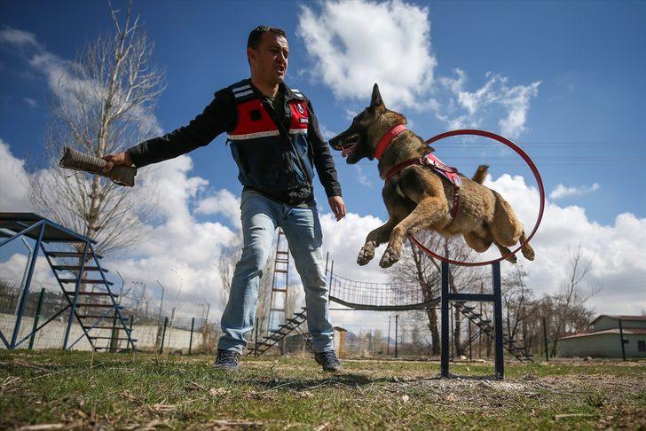 'Süper burunlar' suçu önlüyor!  G1