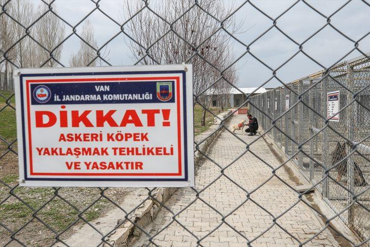 'Süper burunlar' suçu önlüyor!  G2