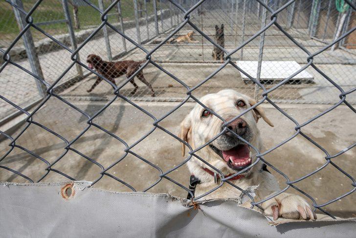 'Süper burunlar' suçu önlüyor!  G3