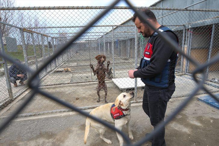 'Süper burunlar' suçu önlüyor!  G4