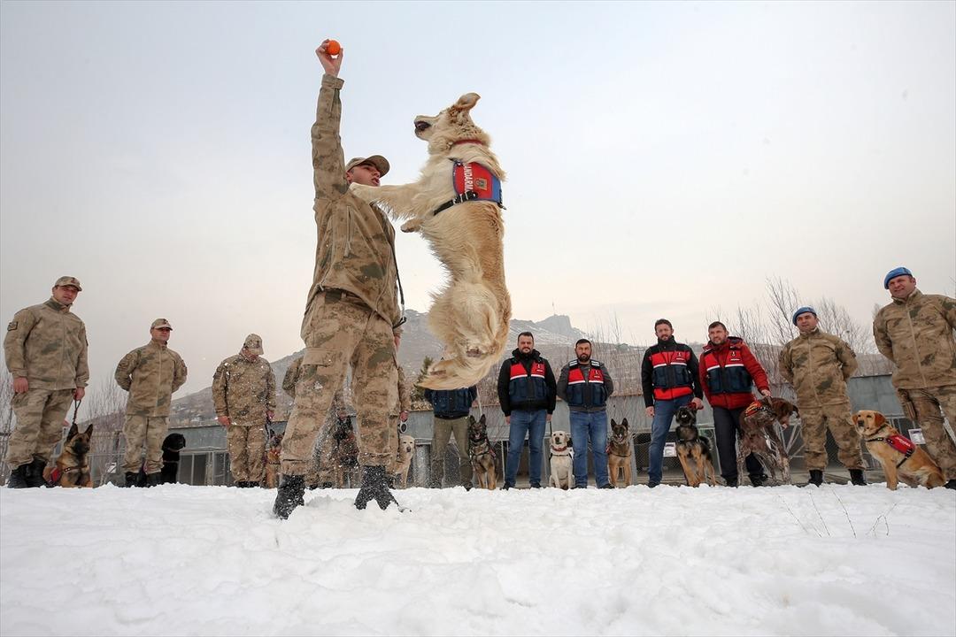 'S&uuml;per burunlar' su&ccedil;u &ouml;nl&uuml;yor! 