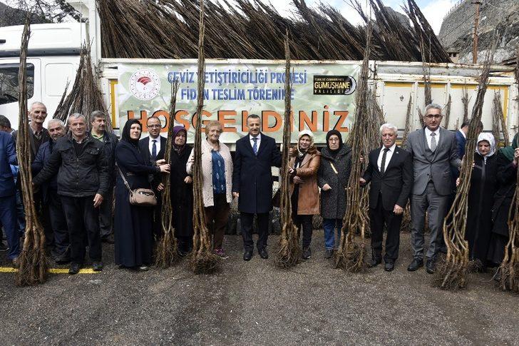 Gümüşhane’de üreticilere 36 bin adet ceviz fidanı daha dağıtıldı G1