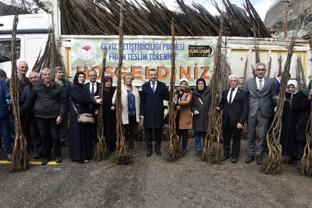 G&uuml;m&uuml;şhane&rsquo;de &uuml;reticilere 36 bin adet ceviz fidanı daha dağıtıldı