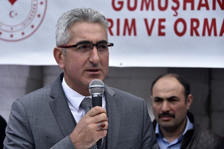 Gümüşhane’de üreticilere 36 bin adet ceviz fidanı daha dağıtıldı G4