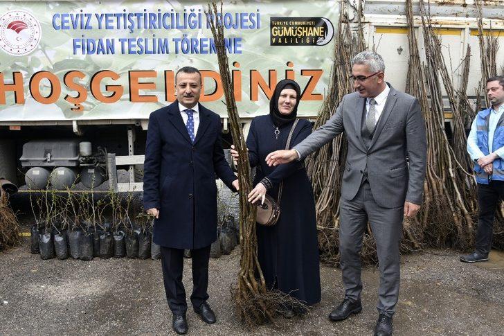 Gümüşhane’de üreticilere 36 bin adet ceviz fidanı daha dağıtıldı G5