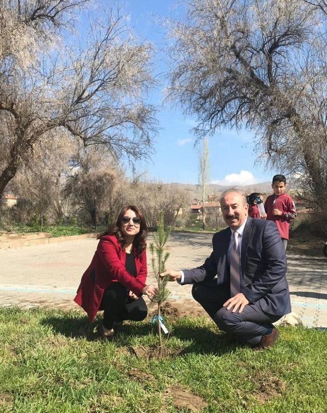 Avanos’ta her öğrenci kendi isminin verildiği fidanları dikti