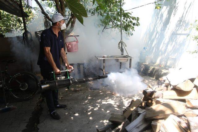 Akyazı Belediyesi ilaçlama çalışmalarına devam ediyor