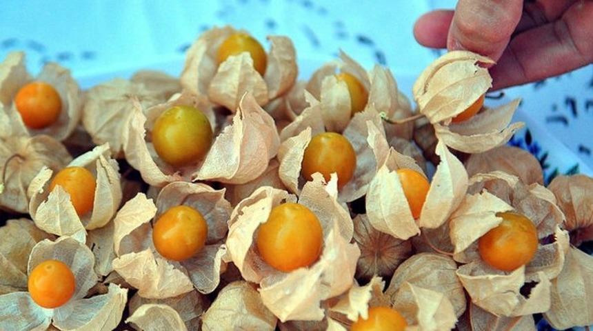 Cumhurbaşkanı Erdoğan da tercih ediyor! Mucize meyve faydalarıyla şaşırtıyor