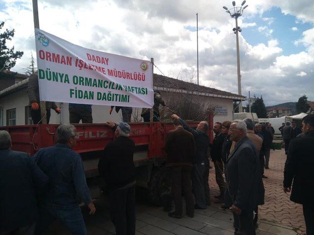 Daday Orman İşletmesi, 6 bin adet fidan dağıttı