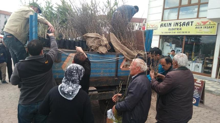Daday Orman İşletmesi, 6 bin adet fidan dağıttı