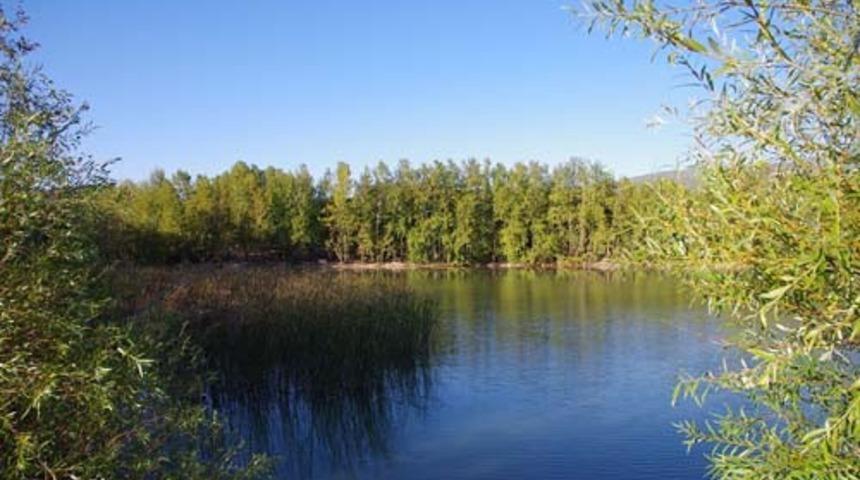 ISUBÜ’lü öğrenciler göl temizliği yapacak