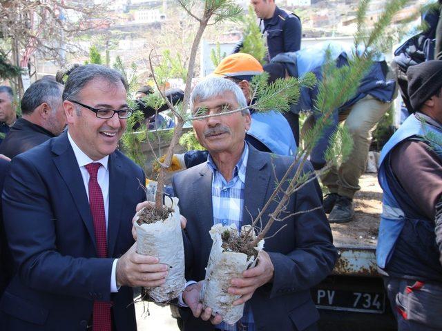 Hacılar’da yeşil bir çevre için 800 fidan dağıtıldı