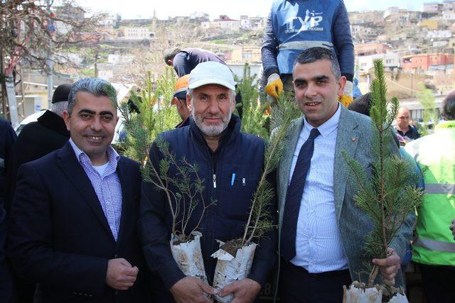 Hacılar’da yeşil bir çevre için 800 fidan dağıtıldı