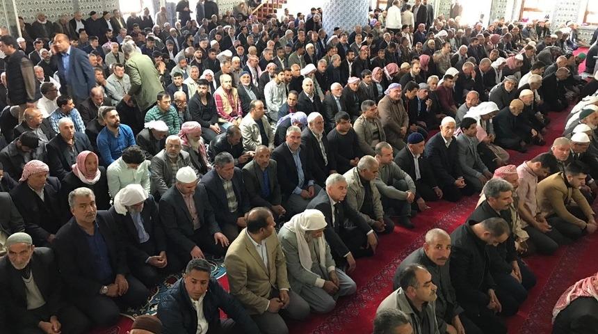 Şanlıurfalılar şehitlerini dualarla andı