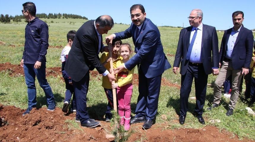 Canpolat fidan dikim etkinliğine katıldı