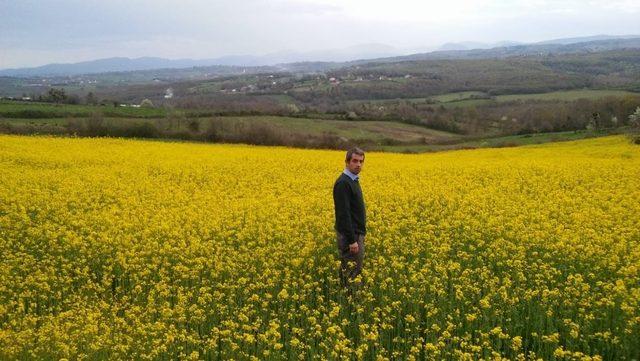 Sinop’ta ’lenox’ bitkisi üretilmeye başlandı 2