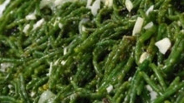 Deniz Börülcesi ve Ayvalık Favası