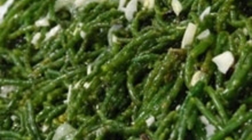 Deniz Börülcesi ve Ayvalık Favası