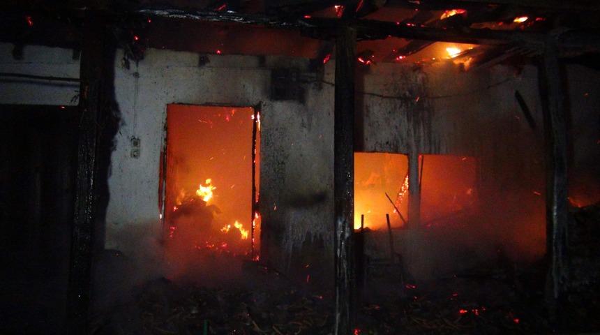 Bacadaki kuş yuvası evlerinden etti!