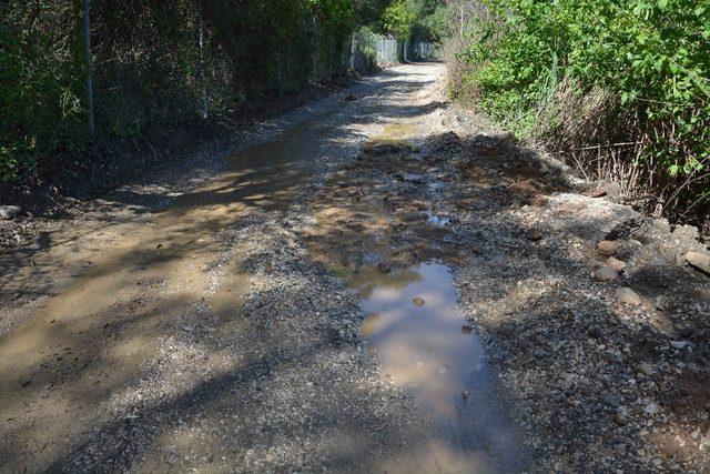 Antik kentte yol çilesi