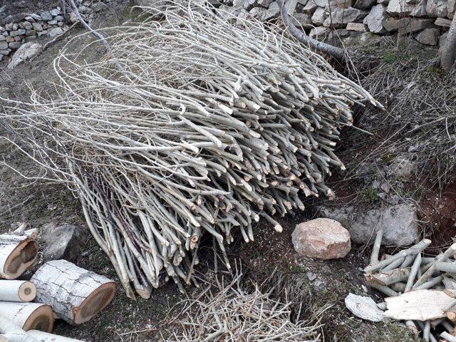 Bitlis açık kapı biriminden polen çalışması