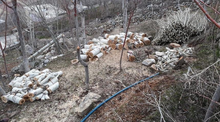 Bitlis a&ccedil;ık kapı biriminden polen &ccedil;alışması