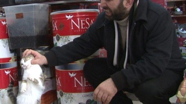 Rize’nin ’Kanki’si