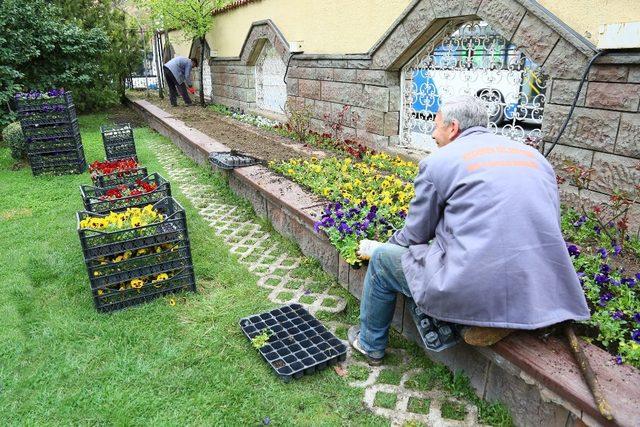 Atatürk Botanik Parkı bahara hazır