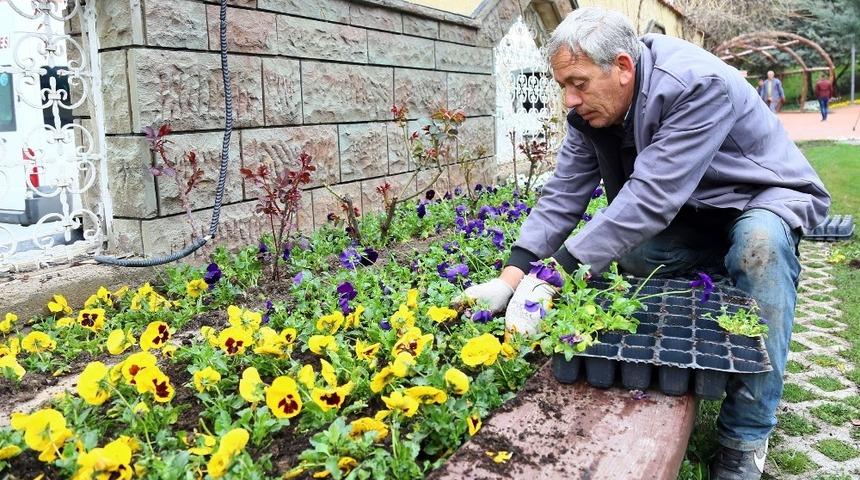 Atat&uuml;rk Botanik Parkı bahara hazır