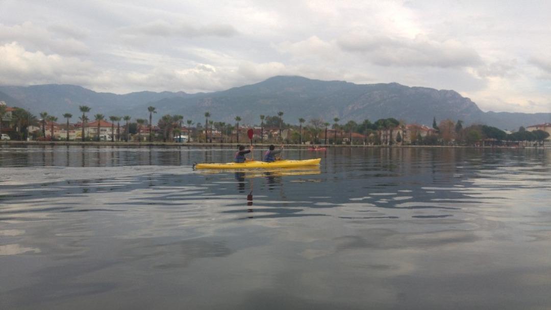 Deniz kaplumbağalarının korunmasına dikkat &ccedil;ekmek i&ccedil;in 25 bin metre k&uuml;rek &ccedil;ekecekler