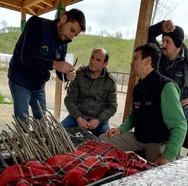 Fatsa’da yerel ceviz üretimi eğitimi