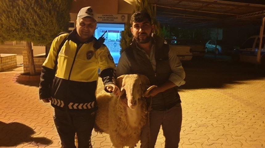 Manisa&rsquo;da &ccedil;alınan ko&ccedil; 5 saatte bulundu