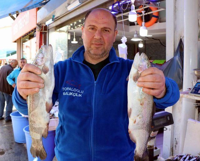 Balıkçılar sezondan memnun kaldı