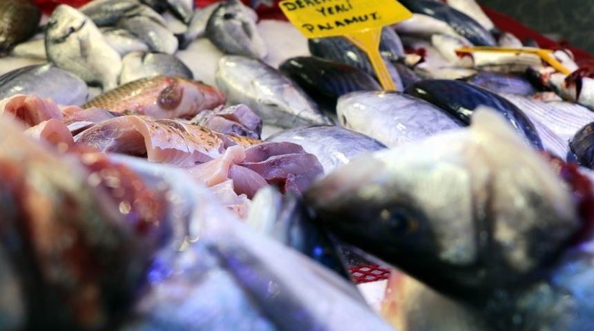 Balıkçılar sezondan memnun kaldı