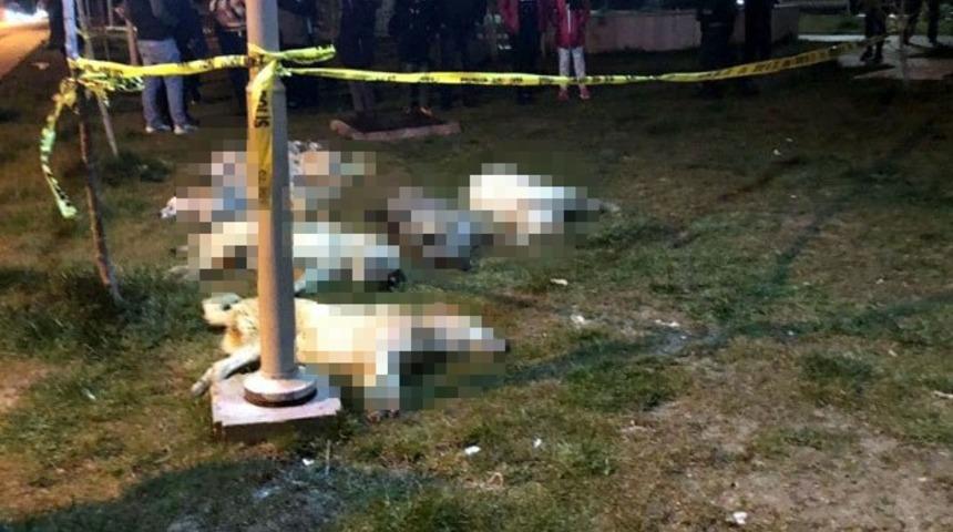 Başkentte ikinci vahşet! Çöp torbalarının içinde bulundular