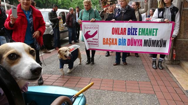 Bursa'da hayvanseverlerden, 'yasa değişsin' talebi