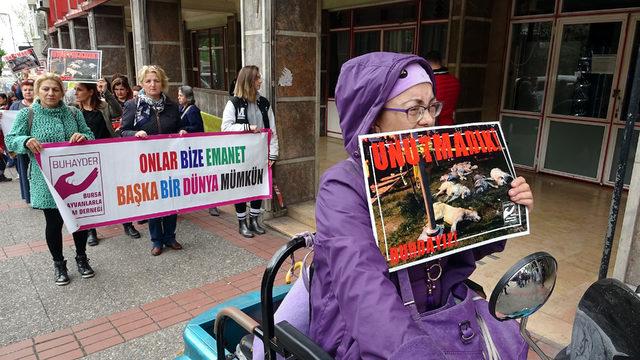 Bursa'da hayvanseverlerden, 'yasa değişsin' talebi