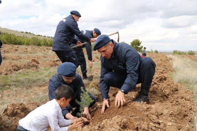 Jandarma Mucur İlçesinde 2 bin 500 fidan dikti