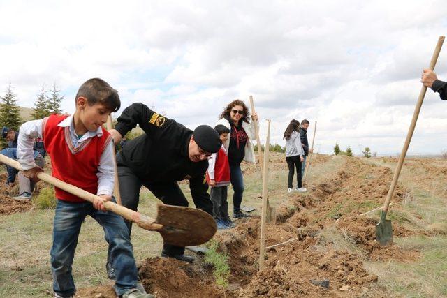 Jandarma Mucur İlçesinde 2 bin 500 fidan dikti